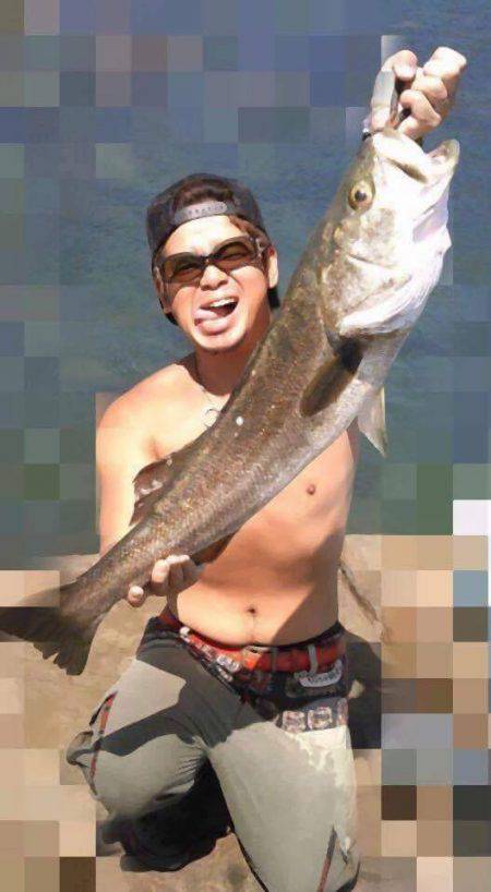 今日はトップオンリー